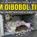 ATM Dibobol Tikus! Uang Hampir Rp300 Juta Hancur Digigit Jadi Serpihan