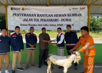 Hutama Karya Tebar 300 Hewan Kurban ke Seluruh Indonesia, Dari Jakarta hingga Papua