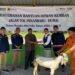 Hutama Karya Tebar 300 Hewan Kurban ke Seluruh Indonesia, Dari Jakarta hingga Papua