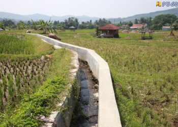 Lewat Inpres Irigasi, Kementerian PU Jamin Pasokan Air Lahan Pertanian Merata di Bogor