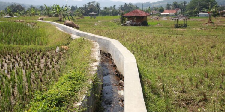 Lewat Inpres Irigasi, Kementerian PU Jamin Pasokan Air Lahan Pertanian Merata di Bogor