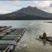 Letupan Gas di Danau Batur Picu Kematian Massal Ikan, Badan Geologi Imbau Warga Hindari Kawah Gunung Batur