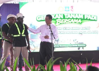 Pemerintah Percepat Pengembangan Papua Selatan Jadi Lumbung Pangan Nasional
