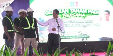 Pemerintah Percepat Pengembangan Papua Selatan Jadi Lumbung Pangan Nasional