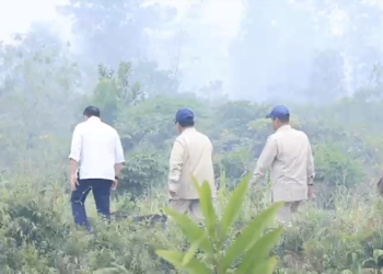 Prabowo Turun Langsung ke Lokasi Karhutla Kubu Raya, Kawal Penanganan Agar Berjalan Cepat