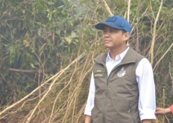 Tinjau Karhutla Kalsel, Menhut Raja Antoni: Api Sudah Tak Terlihat, tapi Gambut Masih Berasap