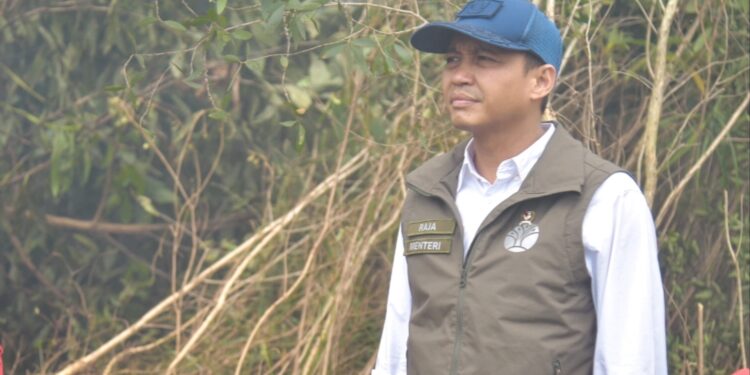 Tinjau Karhutla Kalsel, Menhut Raja Antoni: Api Sudah Tak Terlihat, tapi Gambut Masih Berasap