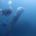 Oarfish 4 Meter Terdampar di Pantai Pink Lombok, Benarkah “Ikan Kiamat” Pertanda Gempa?