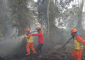 Kementerian PU Perkuat Dukungan Air untuk Tangani Karhutla di Kalimantan dan Jambi