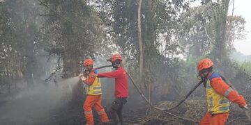Kementerian PU Perkuat Dukungan Air untuk Tangani Karhutla di Kalimantan dan Jambi