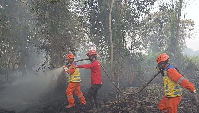 Kementerian PU Perkuat Dukungan Air untuk Tangani Karhutla di Kalimantan dan Jambi