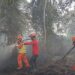 Kementerian PU Perkuat Dukungan Air untuk Tangani Karhutla di Kalimantan dan Jambi