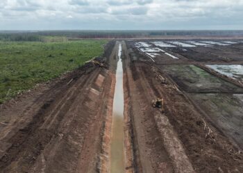 Sawah 10.000 Hektare di Papua Selatan Dikebut, Irigasi Jadi Kunci Swasembada Pangan