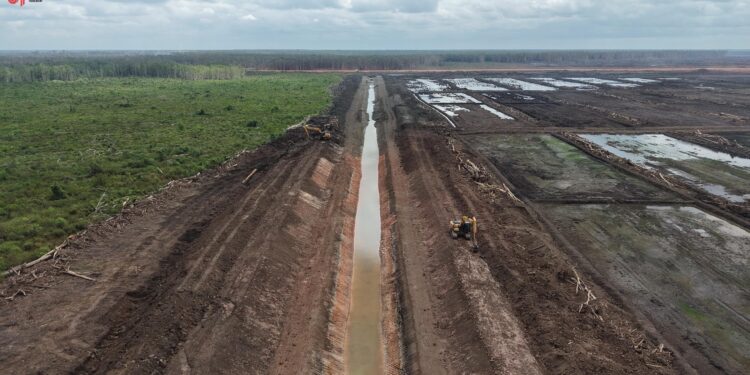 Sawah 10.000 Hektare di Papua Selatan Dikebut, Irigasi Jadi Kunci Swasembada Pangan