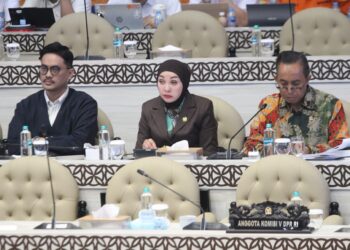 Komisi V DPR Soroti Pengawasan Kapal, Erna Sari Dewi: Jangan Sampai Pemeriksaan Keselamatan Cuma Formalitas