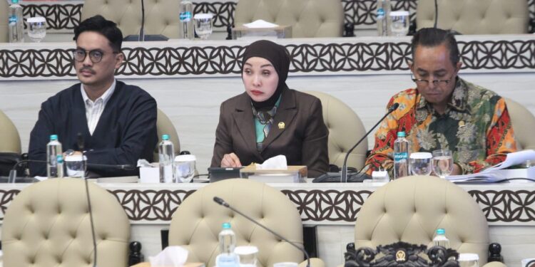 Komisi V DPR Soroti Pengawasan Kapal, Erna Sari Dewi: Jangan Sampai Pemeriksaan Keselamatan Cuma Formalitas