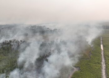 BNPB Perkuat Operasi Udara di Enam Provinsi Prioritas Karhutla