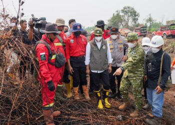 Menhut Raja Antoni: Penanganan Karhutla Riau Jadi Contoh yang Baik