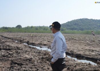 Pastikan Kesiapan Lahan, Menteri Dody Targetkan 3 Sekolah Rakyat di Kepri Rampung Juni 2027