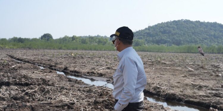 Pastikan Kesiapan Lahan, Menteri Dody Targetkan 3 Sekolah Rakyat di Kepri Rampung Juni 2027