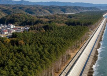 Jepang Perkuat Pertahanan Pantai Pasca Tsunami Tohoku 2011, Tembok Laut Hampir 400 Km Dipadukan dengan Hutan Pantai