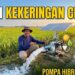 Petani Cirebon Rasakan Manfaat Program Prabowo, Pompanisasi Jaga Sawah Tetap Produktif di Musim Kemarau