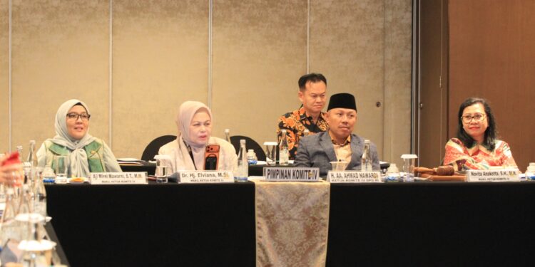 Komite IV DPD RI Rampungkan Uji 23 Calon Anggota BPK, 10 Nama Direkomendasikan ke DPR