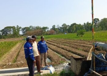 Kementerian PU Kerahkan Pompa hingga Sumur Bor untuk Jaga Ketersediaan Air bagi 3.330 Hektare Sawah di Jatim