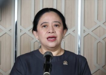 Puan Maharani Minta Kasus 20 Korporasi Tersangka Karhutla Diusut Transparan dan Berkeadilan, Warga Terdampak Jangan Dilupakan