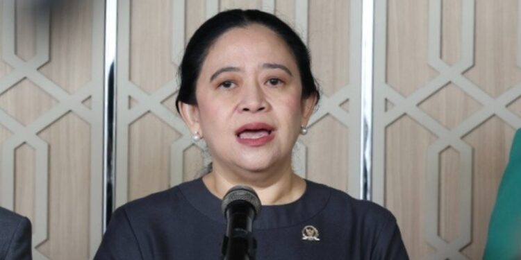 Puan Maharani Minta Kasus 20 Korporasi Tersangka Karhutla Diusut Transparan dan Berkeadilan, Warga Terdampak Jangan Dilupakan