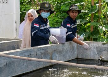 ari Kolam Pelatihan, Menjemput Peluang ke Negeri Seberang