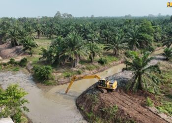 Cegah Gagal Panen, Kementerian PU Selamatkan 8.000 Hektare Sawah di Lampung dari Intrusi Air Laut