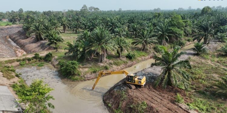 Cegah Gagal Panen, Kementerian PU Selamatkan 8.000 Hektare Sawah di Lampung dari Intrusi Air Laut