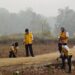 Bangun Infrastruktur, Berdayakan Masyarakat, PISEW Kementerian PU Serap 8.011 Tenaga Kerja